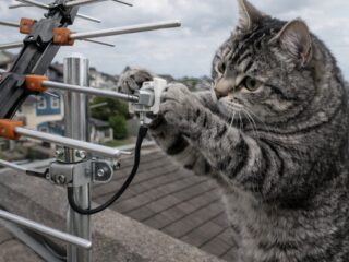 アンテナ撤去工事【愛荘町】